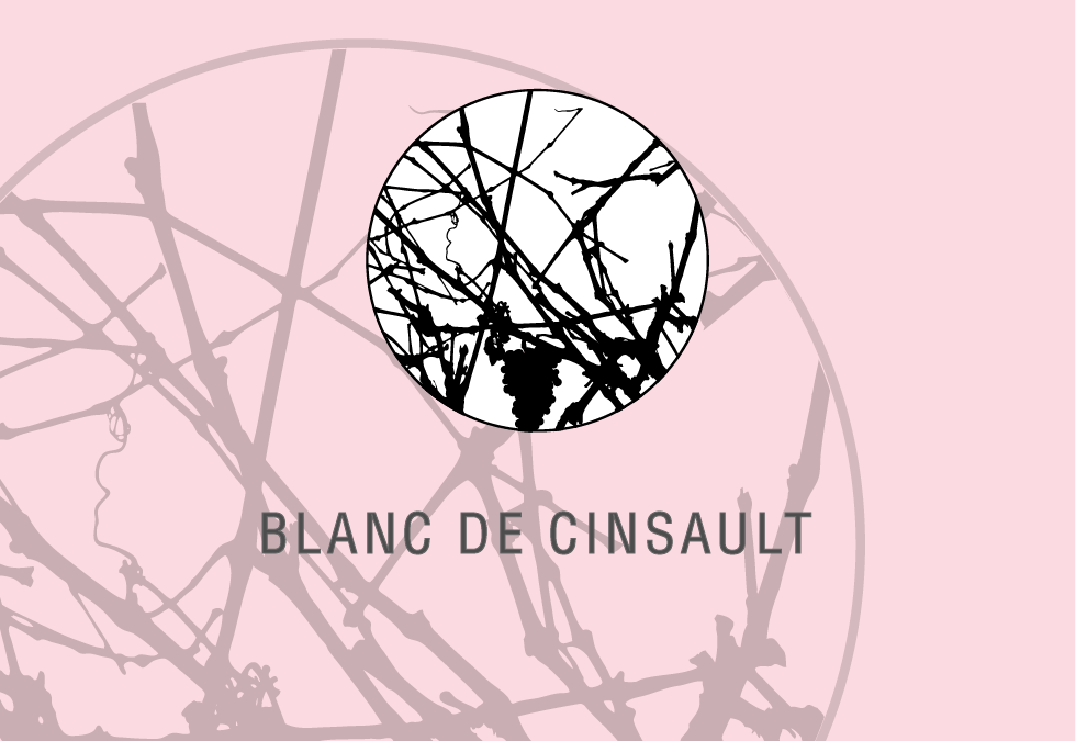 Blanc de Cinsault