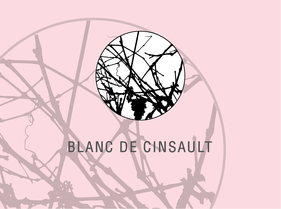 BLANC DE CINSAULT - Les vins - Clos de la Barthassade