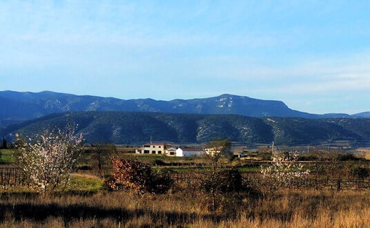 Terroir du Clos de la Barthassade