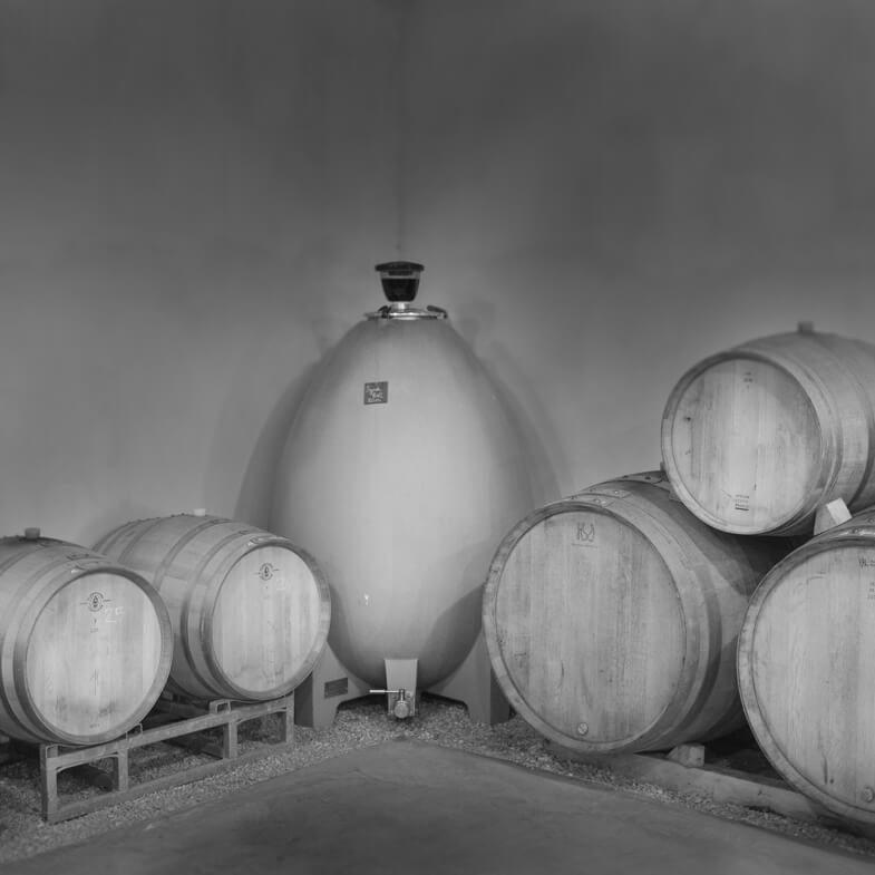 Les tonneaux du Clos de la Barthassade